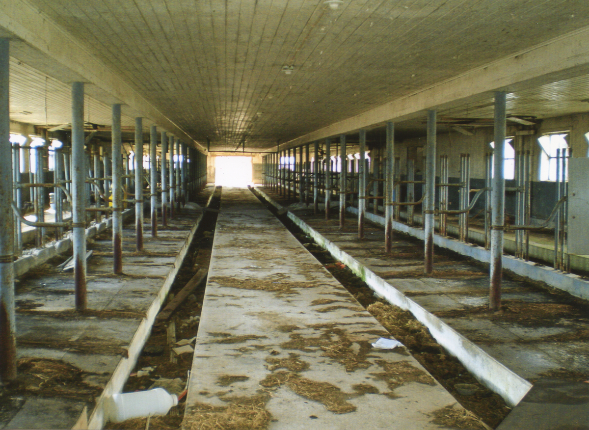 2957.jpg