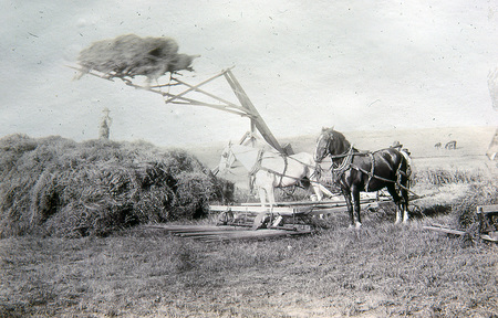 http://www.brodheadhistory.org/bhsimages/images/2036.jpg