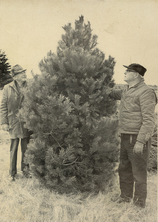 http://www.brodheadhistory.org/bhsimages/images/2275.jpg