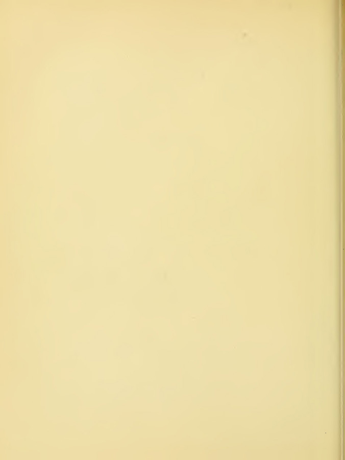 0313
