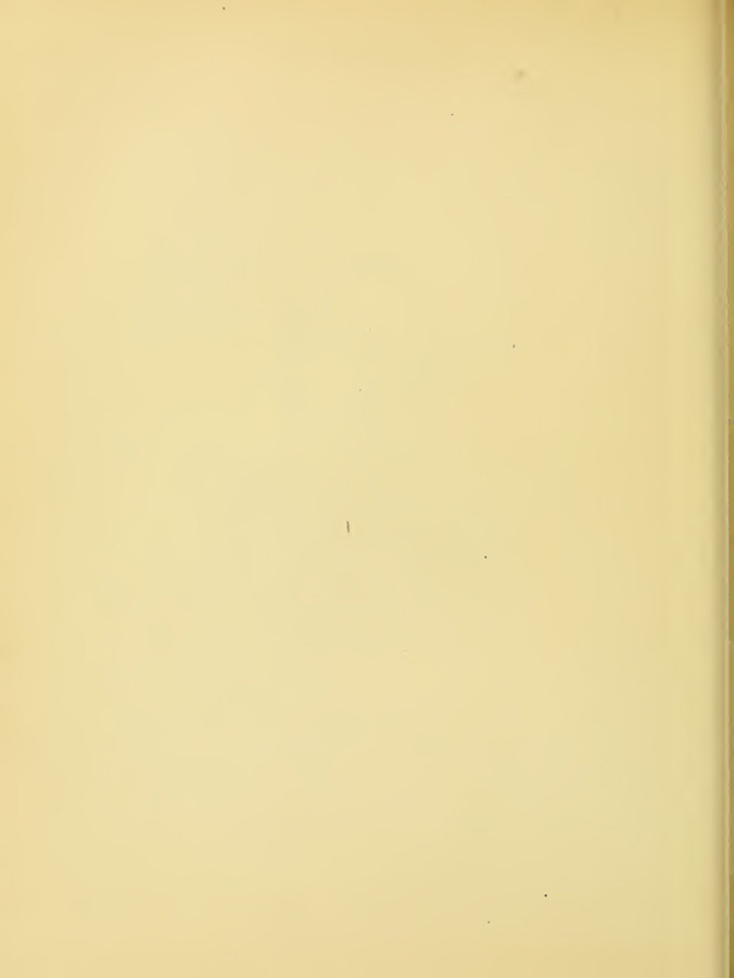 0385