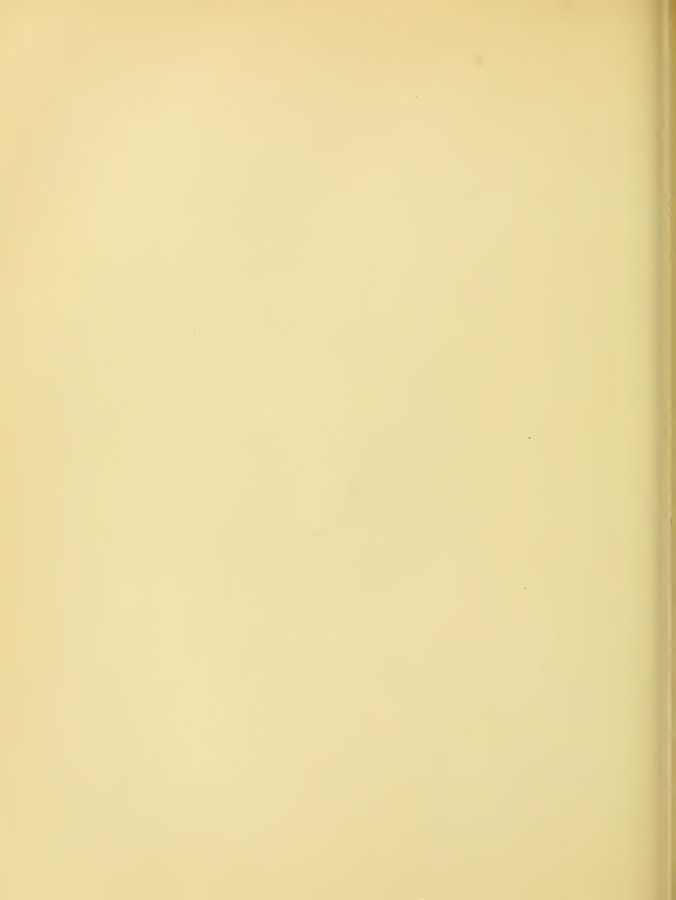 0439