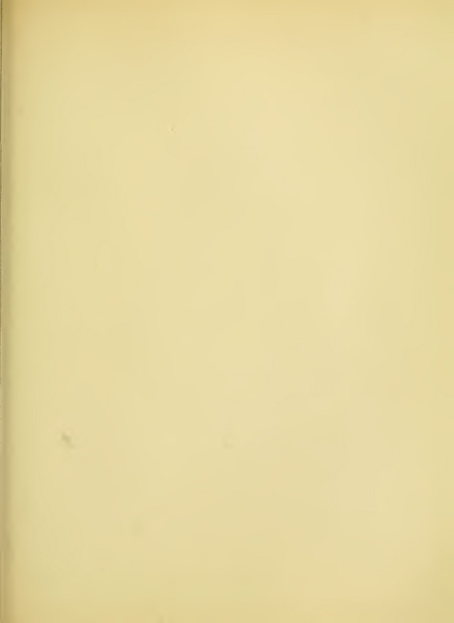 0638