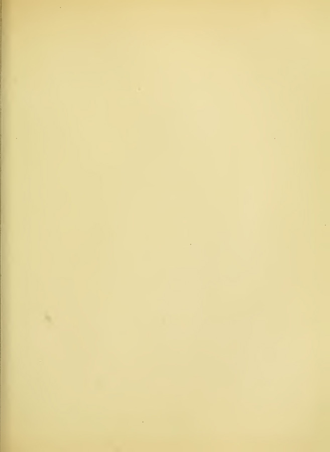 0658